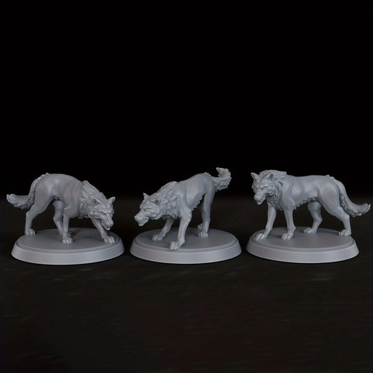 Miniature di lupi fantasy in scatola da 3 pezzi, perfette per giochi di ruolo come DND, di Otaku Family Store Online.