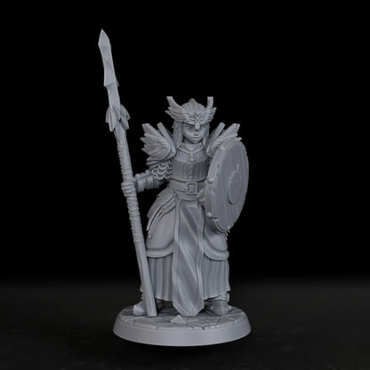 Miniatura di valchiria femminile per gioco di ruolo, figura da tavolo Otaku Family Store, perfetta come regalo per appassionati RPG.
