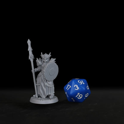 Miniatura di Valkyrie femminile da gioco di ruolo, figura tabletop Otaku Family Store, perfetta per giochi e regali di Halloween e Natale