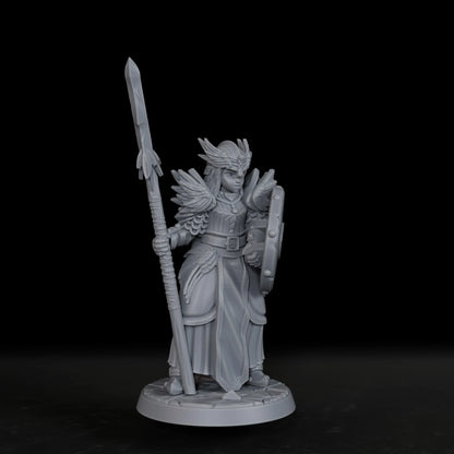 Miniatura di valchiria femminile da gioco di ruolo, figura tabletop Otaku Family, perfetta come gadget per appassionati di RPG.